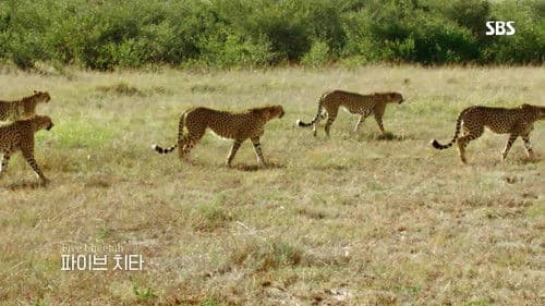 라이프 오브 사만다 Bild 1