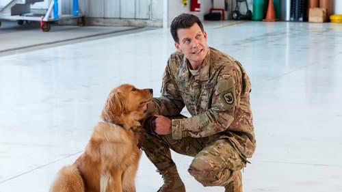 Love and Sunshine Bild 5