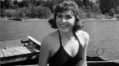 Einen Sommer lang Bild 5