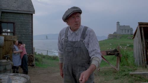 Les Fous de Bassan Bild 2