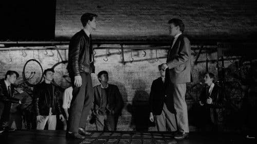 Stenbroens helte Bild 2