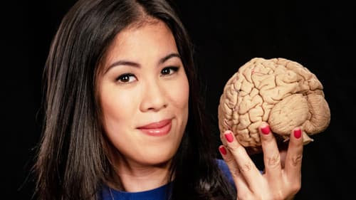 MaiBrain: Reise ins Gehirn Bild 1