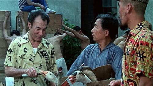 Mr. Boo - Erste allgemeine Verunsicherung Bild 2