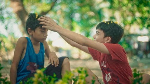 Bahay, Baboy, Bagyo Bild 3