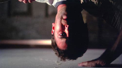 Dreams in the Witch House Bild 4