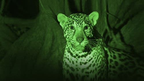 Tatort Strand Bild 1