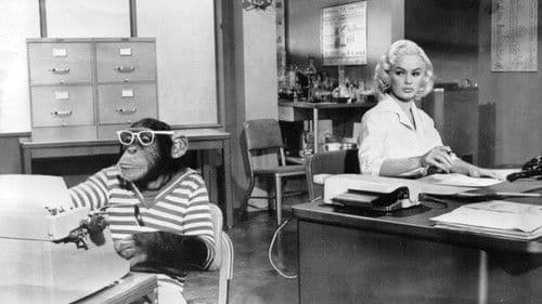 Sex Kittens Go to College Bild 4