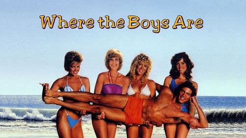 Beach Parties Bild 7