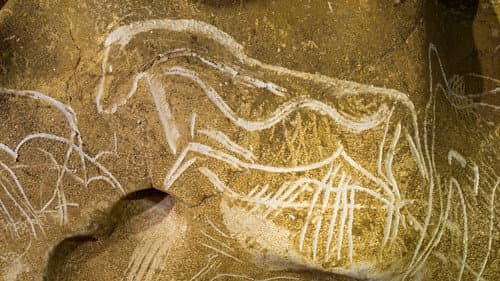 Auf den Spuren prähistorischer Künstler - Die Chauvet-Höhle Bild 6