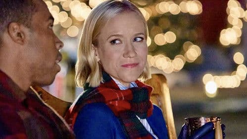 Seaside Christmas – Ein Seehund zum Fest Bild 3