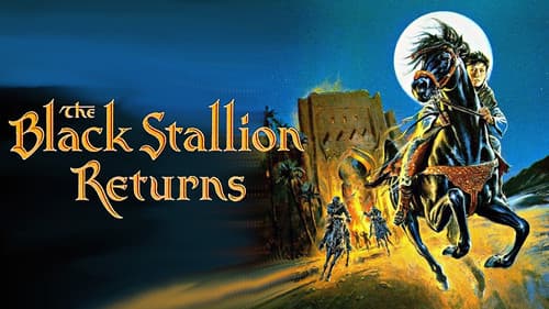 Der schwarze Hengst kehrt zurück Bild 5