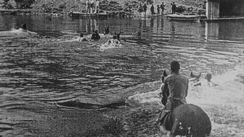 Dragons traversant la Saône à la nage Bild 1