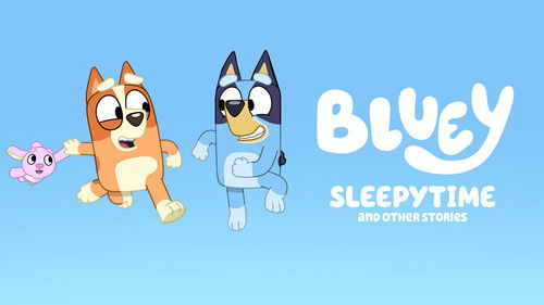 Bluey: Turtleboy (Auslan) Bild 3