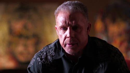 Warrior's Greatest Matches Bild 1