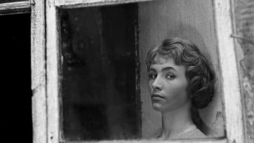 Nikt nie woła Bild 2