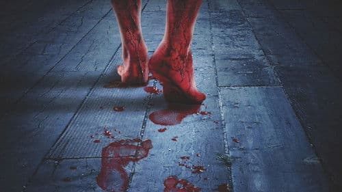 Shallow Ground Bild 1