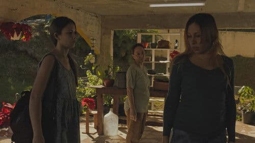 Antes que cante el gallo Bild 4