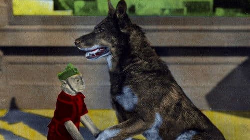 Rinty of the Desert Bild 1