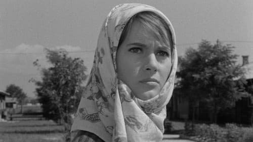 Po isti poti se ne vračaj Bild 1