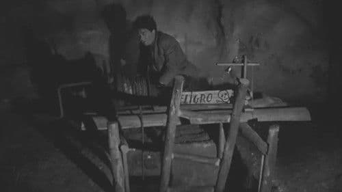 El milagro de sal Bild 5