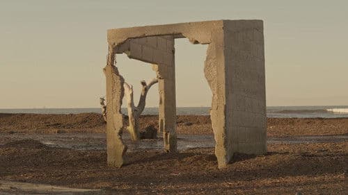 La marcha del liquen Bild 1