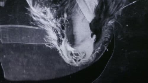 ＸＸ　美しき獲物 Bild 8