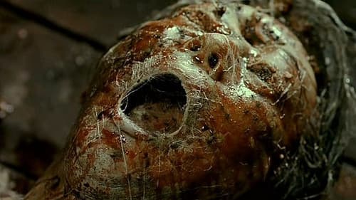 Spider Forest - Wald der verlorenen Seelen Bild 2