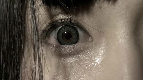 Mai chan's Daily Life The Movie Bild 2