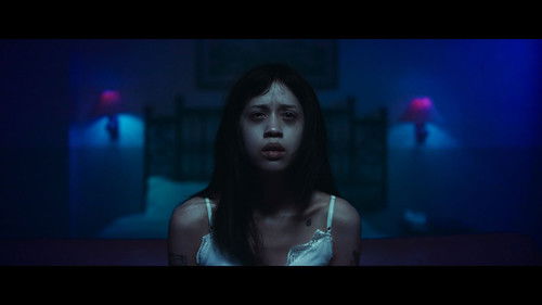 Maya's Phenomenon Bild 1