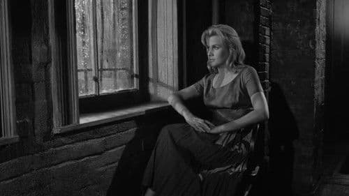 Wilde Knospen Bild 4