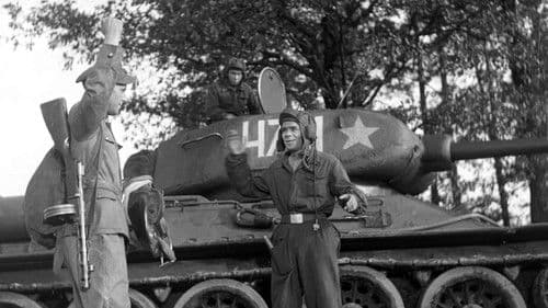 Krzyż Walecznych Bild 6