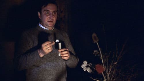 Brunet wieczorową porą Bild 5