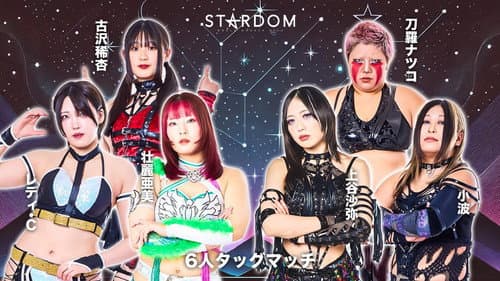 第15回 ゴッデス・オブ・スターダム ～タッグリーグ戦～ in TAKASAKI Bild 4