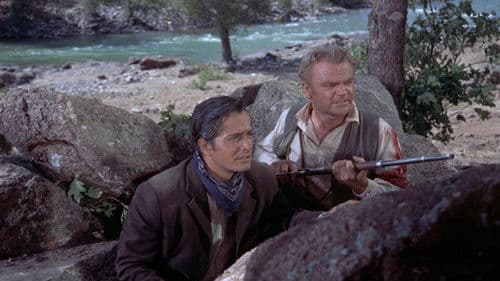 Im Schatten des Galgens Bild 4