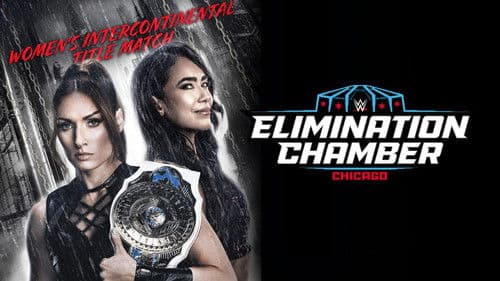 Elimination Chamber Bild 2