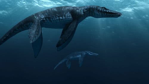 Sea Rex 3D: Reise in die Zeit der Dinosaurier Bild 1