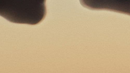 Οι άγριες μέρες μας Bild 8