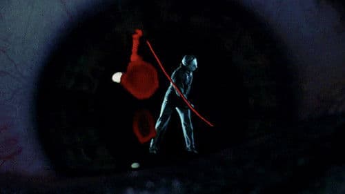 Freitag der 13. Teil VI - Jason lebt Bild 4