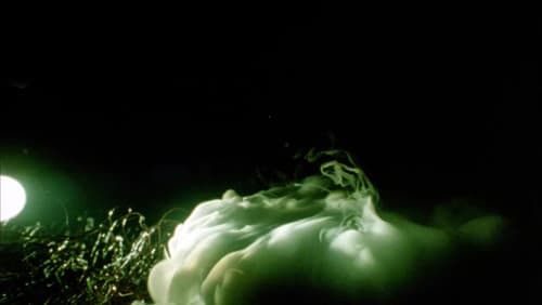 964 Pinocchio Bild 6