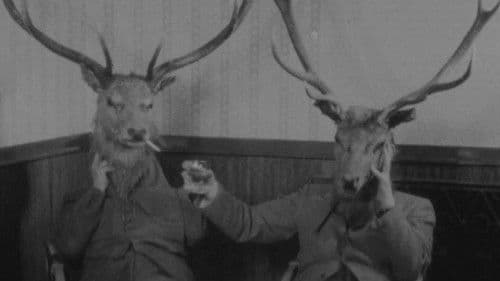 Pitlochry Welcomes You Bild 1