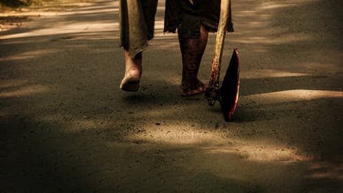 Nobody Sleeps in the Woods Tonight Bild 8