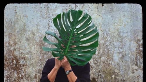 A Volta ao Mundo Quando Tinhas 30 Anos Bild 1