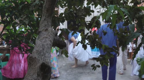 Selado em Cicatriz Bild 1