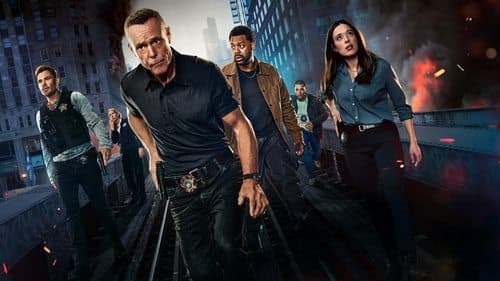 Chicago P.D. Bild 4