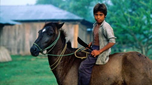 A Place Called Chiapas Bild 1