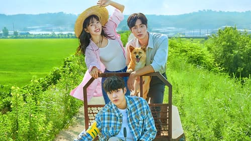 어쩌다 전원일기 Bild 5