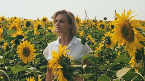 O Último Mergulho Bild 3