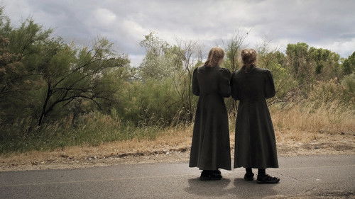 Prophet's Prey Bild 2