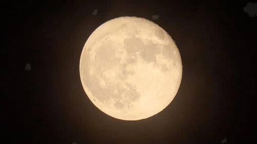 Our Hero, Cadet Bild 6