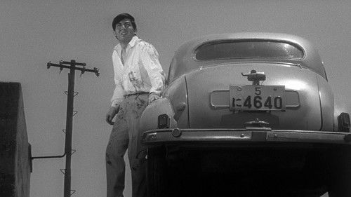 Branded to Kill Bild 6